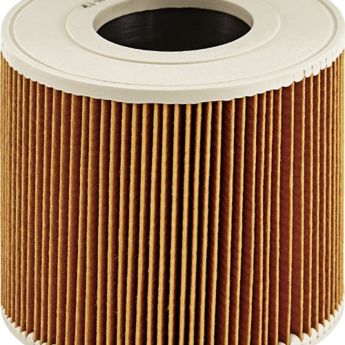 Karcher Φίλτρο Σκούπας Υγρών/Στερεών Συμβατό με Karcher