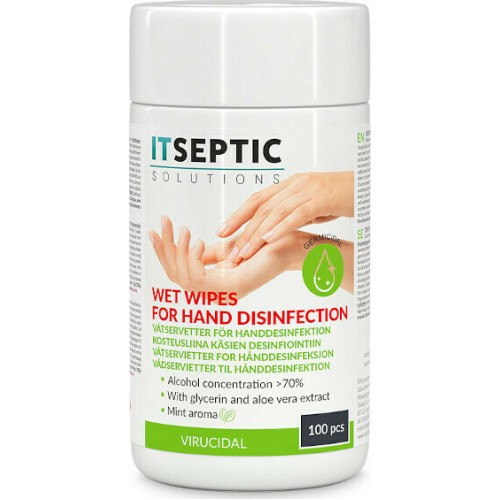 Itseptic Υγρά Αντισηπτικά Μαντηλάκια με 70% Aloe Vera & Γλυκερίνη Aloe Vera 100τμχ