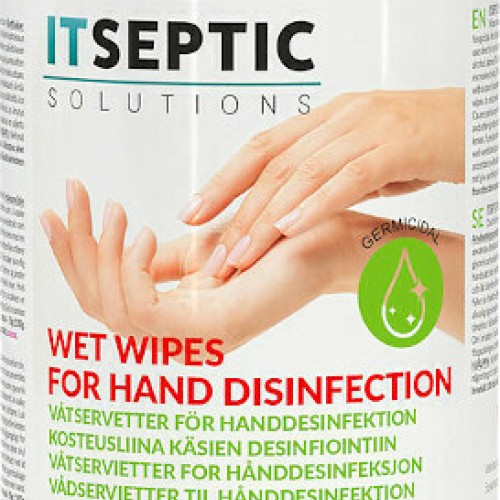 Itseptic Υγρά Αντισηπτικά Μαντηλάκια με 70% Aloe Vera & Γλυκερίνη Aloe Vera 100τμχ