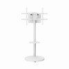 Gembird TVS-86TR-01-W TV floor stand, 37