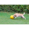 KERBL Durable, Large Interactive, Floating Ball - Dog Toy - 30 cm KERBL Durable, Large Interactive, Floating Ball - Dog Toy - 30 cm