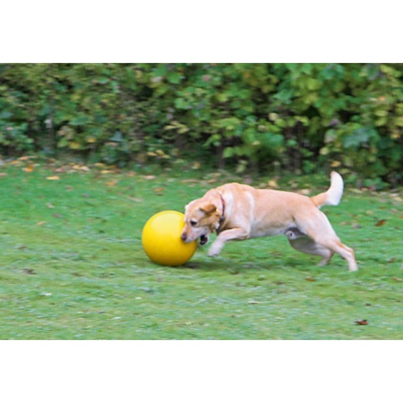 KERBL Durable, Large Interactive, Floating Ball - Dog Toy - 30 cm KERBL Durable, Large Interactive, Floating Ball - Dog Toy - 30 cm