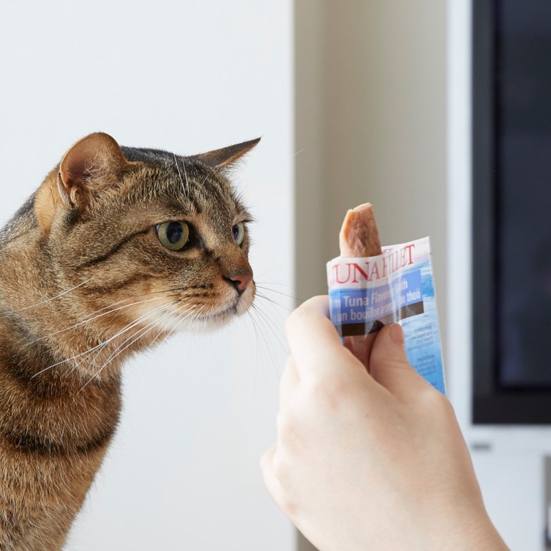 KATTOVIT Feline Diet Niere/Renal Lamb - wet cat food - 85g KATTOVIT Feline Diet Niere/Renal Lamb - wet cat food - 85g