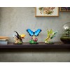 LEGO IDEAS 21342 The Insect Collection LEGO IDEAS 21342 The Insect Collection