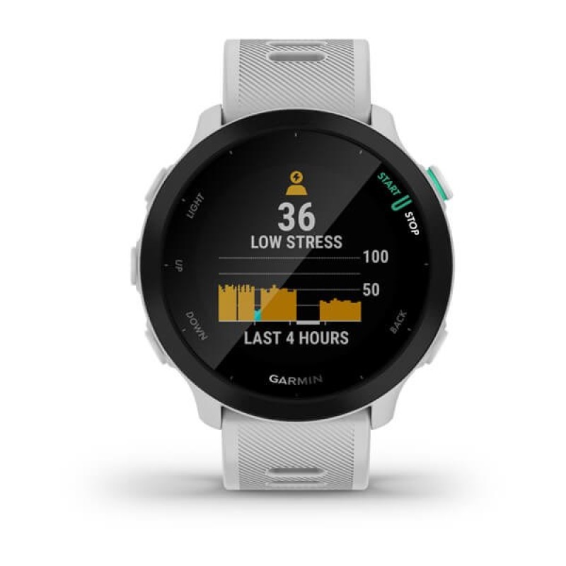 Garmin Forerunner 55 2.64 cm (1.04 Garmin Forerunner 55 2.64 cm (1.04