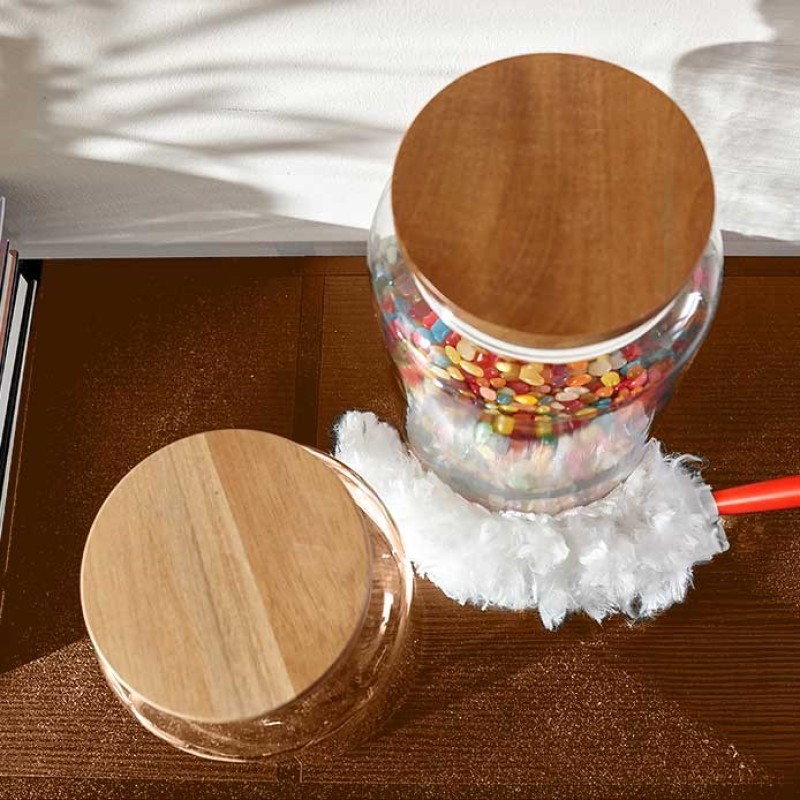 Vileda dustpan with short handle + 2 Flex&Catch refills