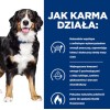 THANK'Q Standard  Lamb - dry dog food - 10kg