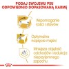 VERSELE LAGA Nature Cavia - food for domestic cavies - 9 kg VERSELE LAGA Nature Cavia - food for domestic cavies - 9 kg