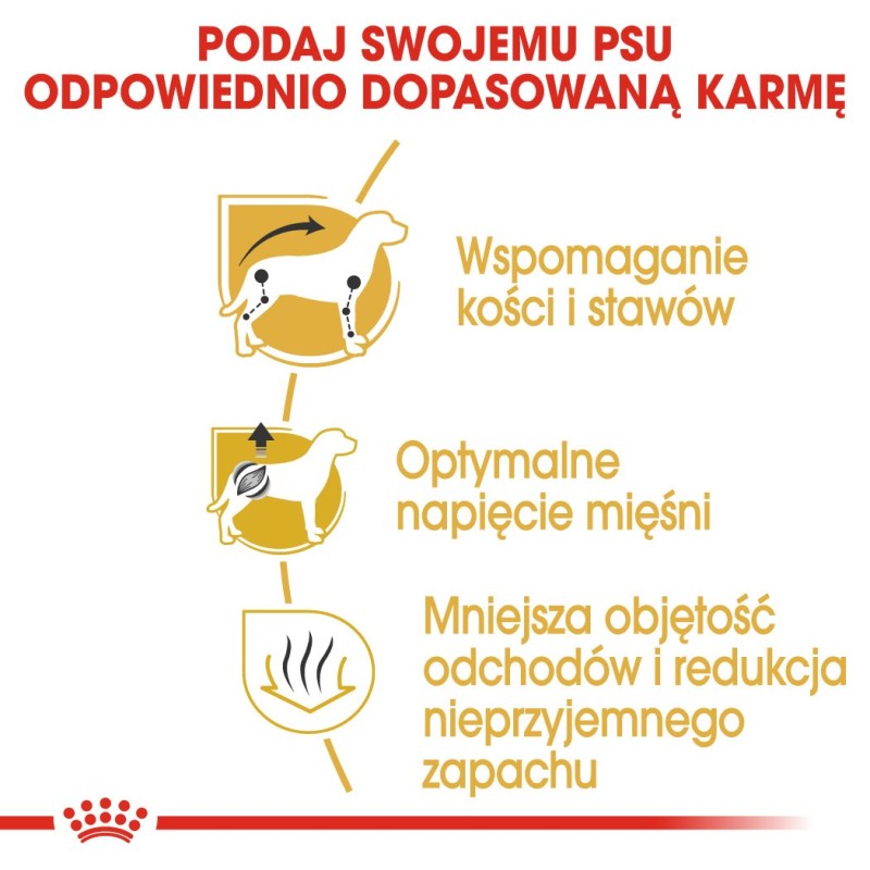 VERSELE LAGA Nature Cavia - food for domestic cavies - 9 kg VERSELE LAGA Nature Cavia - food for domestic cavies - 9 kg