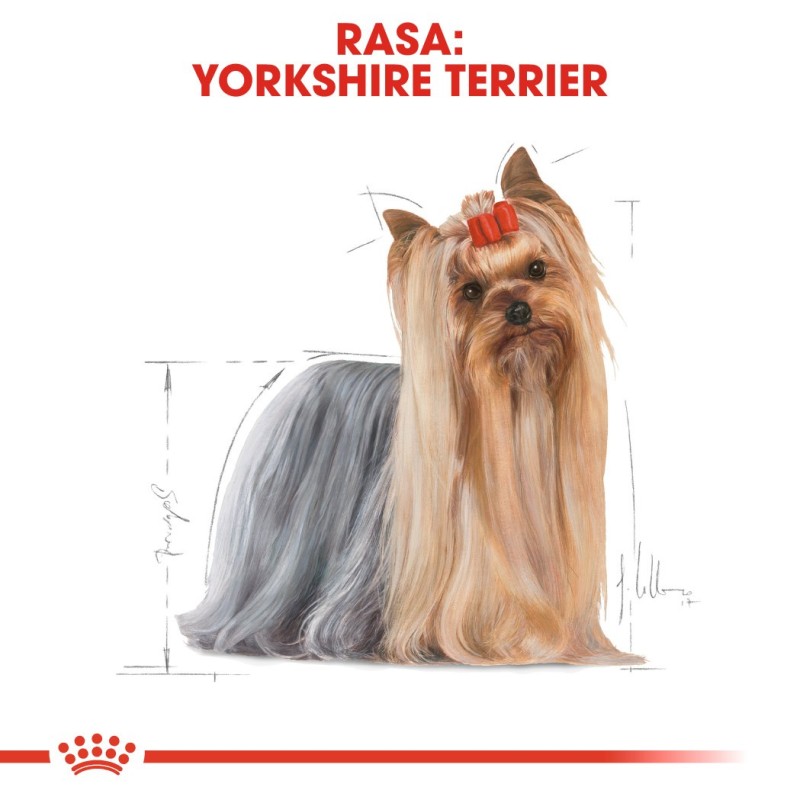 ROYAL CANIN Yorkshire Terrier Adult - dry dog food - 1,5 kg ROYAL CANIN Yorkshire Terrier Adult - dry dog food - 1,5 kg