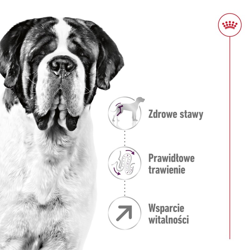 ROYAL CANIN Giant Adult - dry dog food - 15 kg ROYAL CANIN Giant Adult - dry dog food - 15 kg