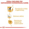ROYAL CANIN Sterilised 37 - dry cat food - 10 kg ROYAL CANIN Sterilised 37 - dry cat food - 10 kg