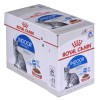 ROYAL CANIN FHN Indoor jelly - wet food for adult cats - 12x85g ROYAL CANIN FHN Indoor jelly - wet food for adult cats - 12x85g