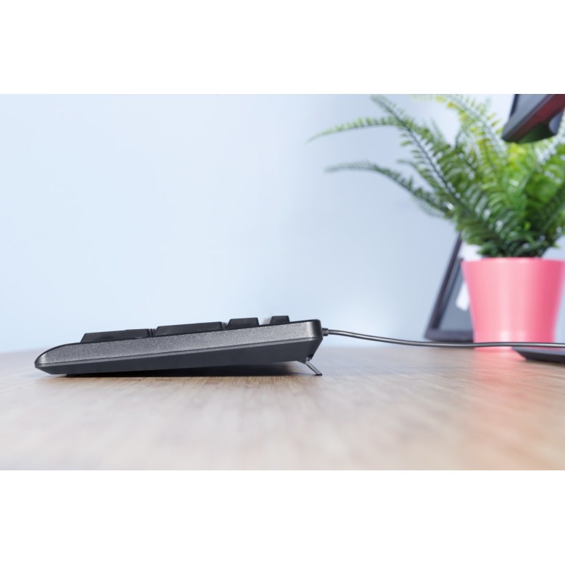 Trust Primo keyboard USB QWERTY US English Black Trust Primo keyboard USB QWERTY US English Black