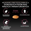 PURINA Pro Plan Sensitive Skin Small & Mini Adult Salmon - dry dog food - 700g PURINA Pro Plan Sensitive Skin Small & Mini Adult Salmon - dry dog food - 700g