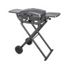 1-burner gas barbecue eesa BBQ 1000