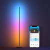 Govee LED Floor Lamp Smart floor lighting Wi-Fi/Bluetooth Govee LED Floor Lamp Smart floor lighting Wi-Fi/Bluetooth