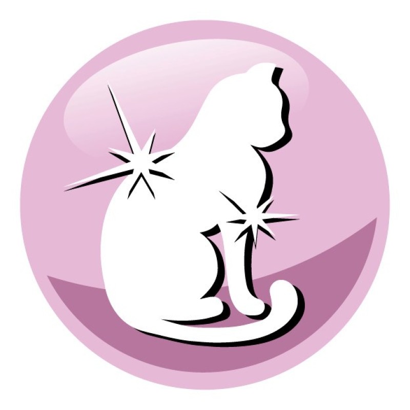 PREVITAL Senior Salmon - dry cat food - 1,4kg PREVITAL Senior Salmon - dry cat food - 1,4kg