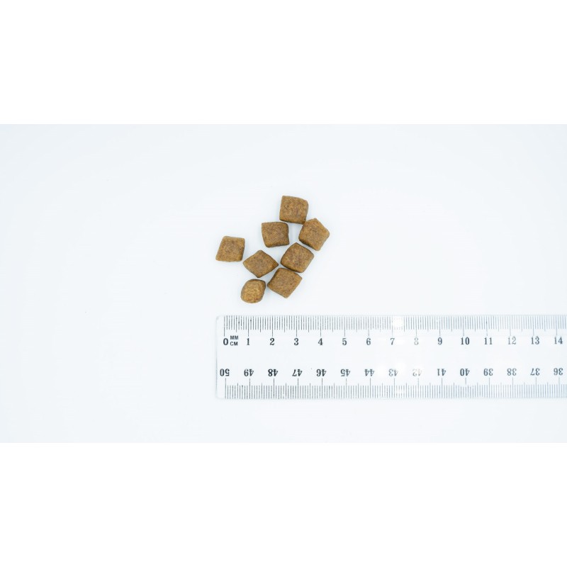 BULT Salmon with trout - dry dog food - 3kg