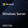 Microsoft Windows Svr CAL 2025 PL Clt User CAL OEM