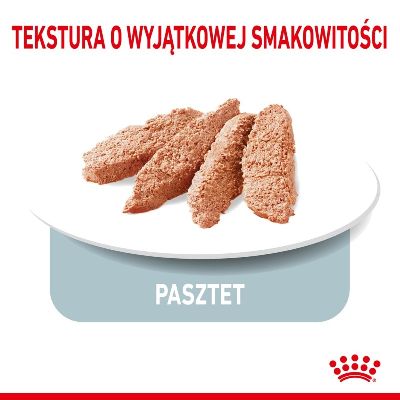 TASTE OF THE WILD Pine Forest - dry dog food - 12,2 kg TASTE OF THE WILD Pine Forest - dry dog food - 12,2 kg