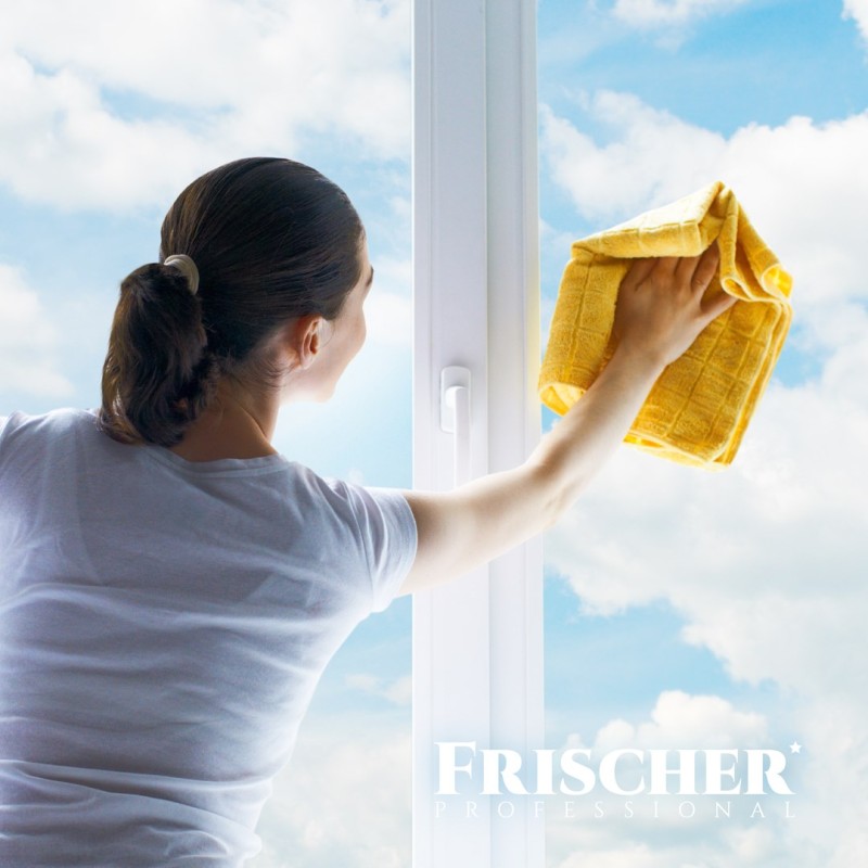 Frischer glass cleaner with anti-vapour function 0,5l