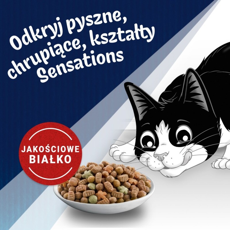 PURINA Felix Countryside Sensations - dry cat food - 1kg PURINA Felix Countryside Sensations - dry cat food - 1kg