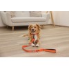 MACED Mini duck and fish skewer - Dog treat - 60g MACED Mini duck and fish skewer - Dog treat - 60g