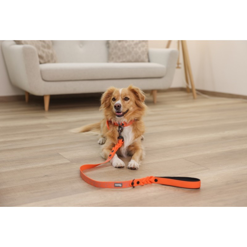 MACED Mini duck and fish skewer - Dog treat - 60g MACED Mini duck and fish skewer - Dog treat - 60g