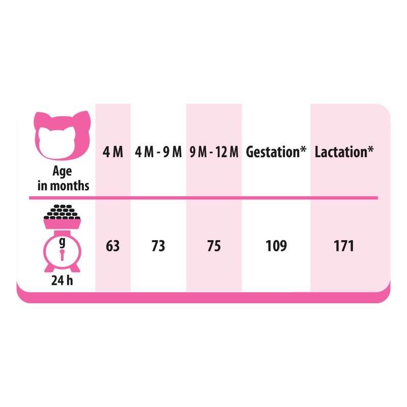 PREVITAL Junior Chicken - dry cat food - 950g