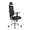 Diablo V-BASIC gaming chair black Diablo V-BASIC gaming chair black