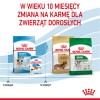 Royal Canin SHN Mini Puppy - dry puppy food - 4kg Royal Canin SHN Mini Puppy - dry puppy food - 4kg