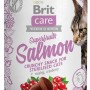 BRIT Care Superfruits Salmon - cat treats - 100 g