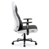 Diablo X-GAMER 2.0 Normal Gaming chair Black, White Diablo X-GAMER 2.0 Normal Gaming chair Black, White
