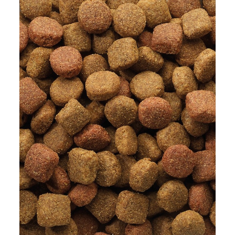 VERSELE-LAGA Classic Duo Krok - dry dog food - 20 kg VERSELE-LAGA Classic Duo Krok - dry dog food - 20 kg