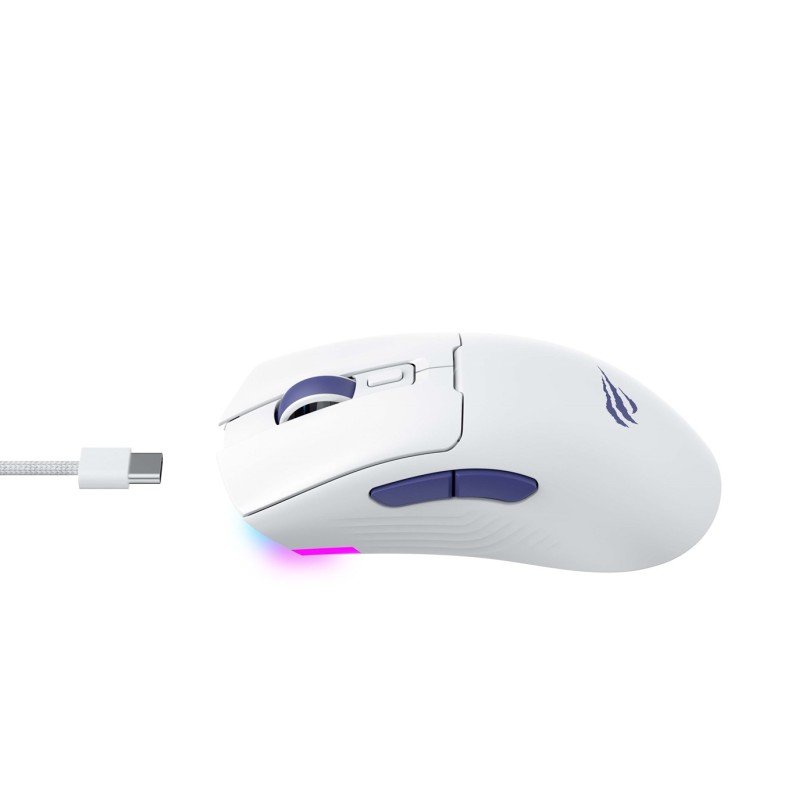 Havit MS966WB wireless mouse Havit MS966WB wireless mouse