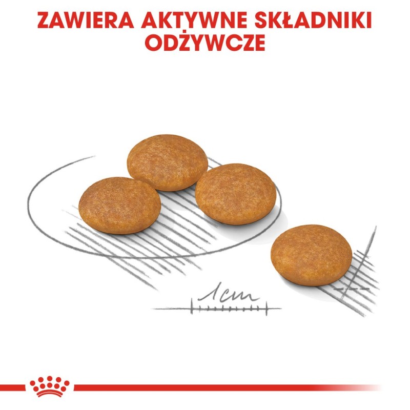 ROYAL CANIN Mini Dermacomfort - dry food for adult small breeds of dogs with sensitive skin prone to irritation - 3kg ROYAL CANIN Mini Dermacomfort - dry food for adult small breeds of dogs with sensitive skin prone to irritation - 3kg