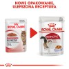 ROYAL CANIN FHN Instinctive in jelly - wet food for adult cats - 12x85g