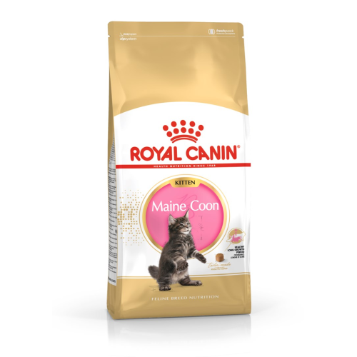 ROYAL CANIN Maine Coon Kitten - dry cat food - 2 kg