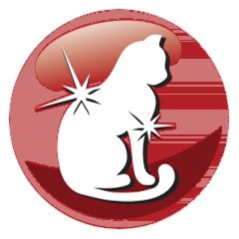 PREVITAL Cat Food Adult with Beef - Dry Cat Food - 1.4 kg PREVITAL Cat Food Adult with Beef - Dry Cat Food - 1.4 kg