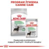 ROYAL CANIN CCN DIGESTIVE CARE LOAF - wet food for adult dogs - 12x85g ROYAL CANIN CCN DIGESTIVE CARE LOAF - wet food for adult dogs - 12x85g