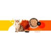 3COTY 15. Chicken and krill - wet cat food - 180g 3COTY 15. Chicken and krill - wet cat food - 180g