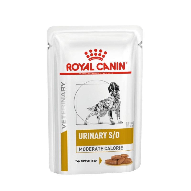 ROYAL CANIN Urinary S/O Moderate Calorie Wet dog food Chunks in sauce 12x100 g