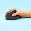 NATEC STORK mouse Home Ambidextrous Bluetooth + USB Type-A Optical 1600 DPI