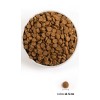 ACANA Classics Red Meat - dry dog food - 14,5kg ACANA Classics Red Meat - dry dog food - 14,5kg