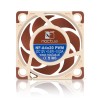 Noctua NF-A4x20 PWM Computer case Fan 4 cm Beige, Brown Noctua NF-A4x20 PWM Computer case Fan 4 cm Beige, Brown