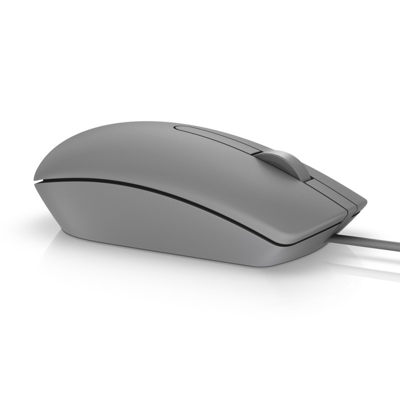 DELL MS116 mouse Ambidextrous USB Type-A Optical 1000 DPI DELL MS116 mouse Ambidextrous USB Type-A Optical 1000 DPI