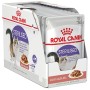 ROYAL CANIN FHN Sterilised in sauce - wet food for adult cats - 12x85g