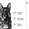 ROYAL CANIN Maxi Adult 5+ - dry dog food - 15 kg ROYAL CANIN Maxi Adult 5+ - dry dog food - 15 kg