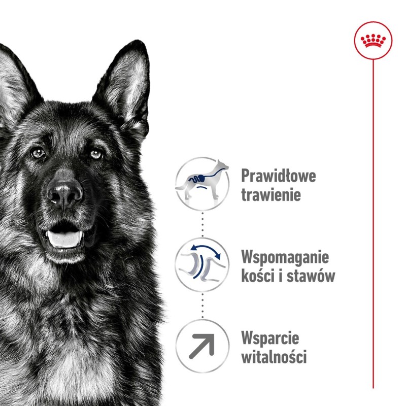 ROYAL CANIN Maxi Adult 5+ - dry dog food - 15 kg ROYAL CANIN Maxi Adult 5+ - dry dog food - 15 kg